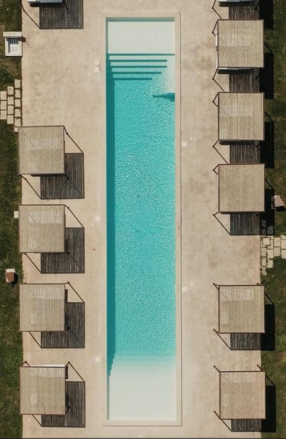 Secolario Masseria del Viverbene foto 2