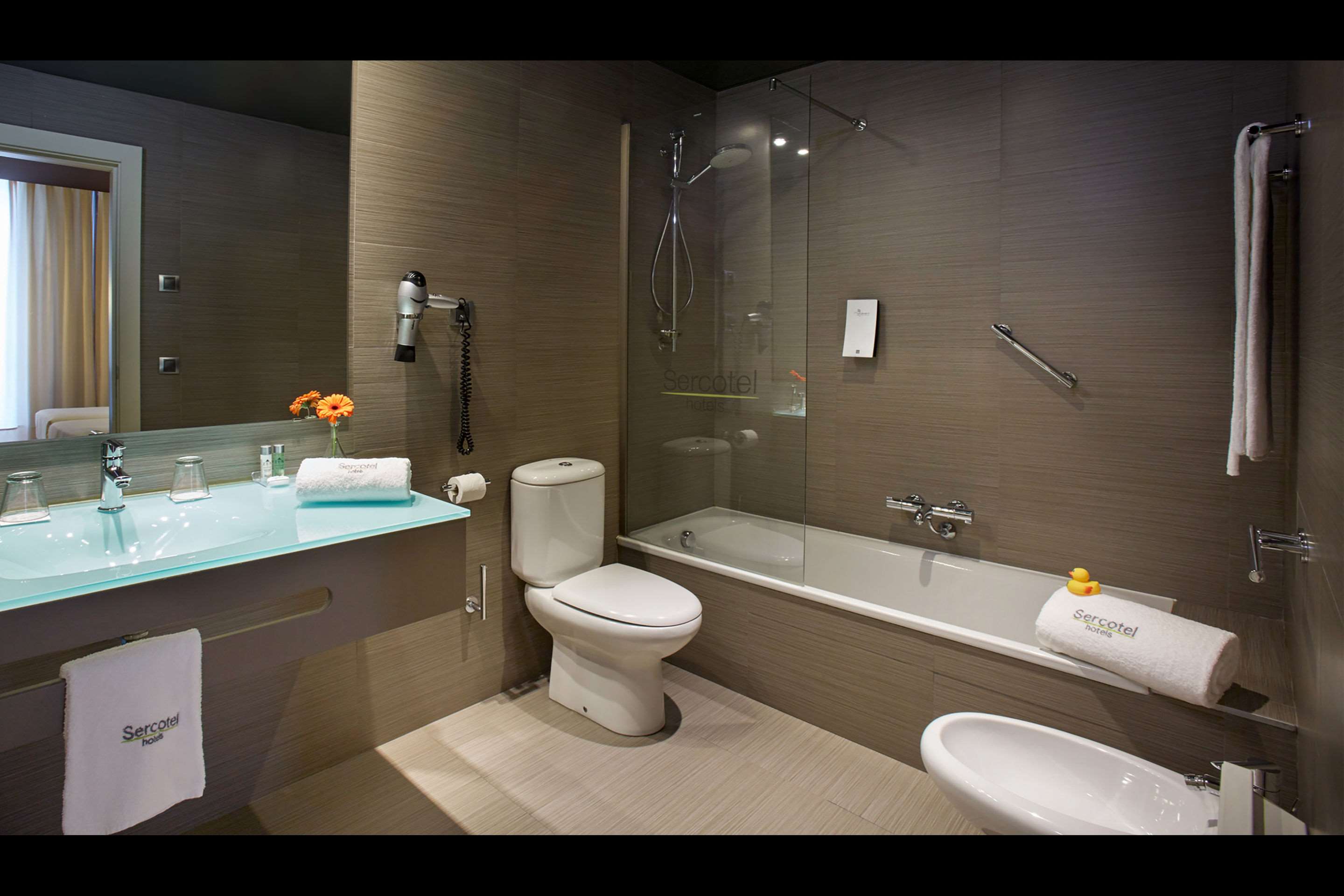 Sercotel Hotel Boulevard Vitoria-Gasteiz foto 132