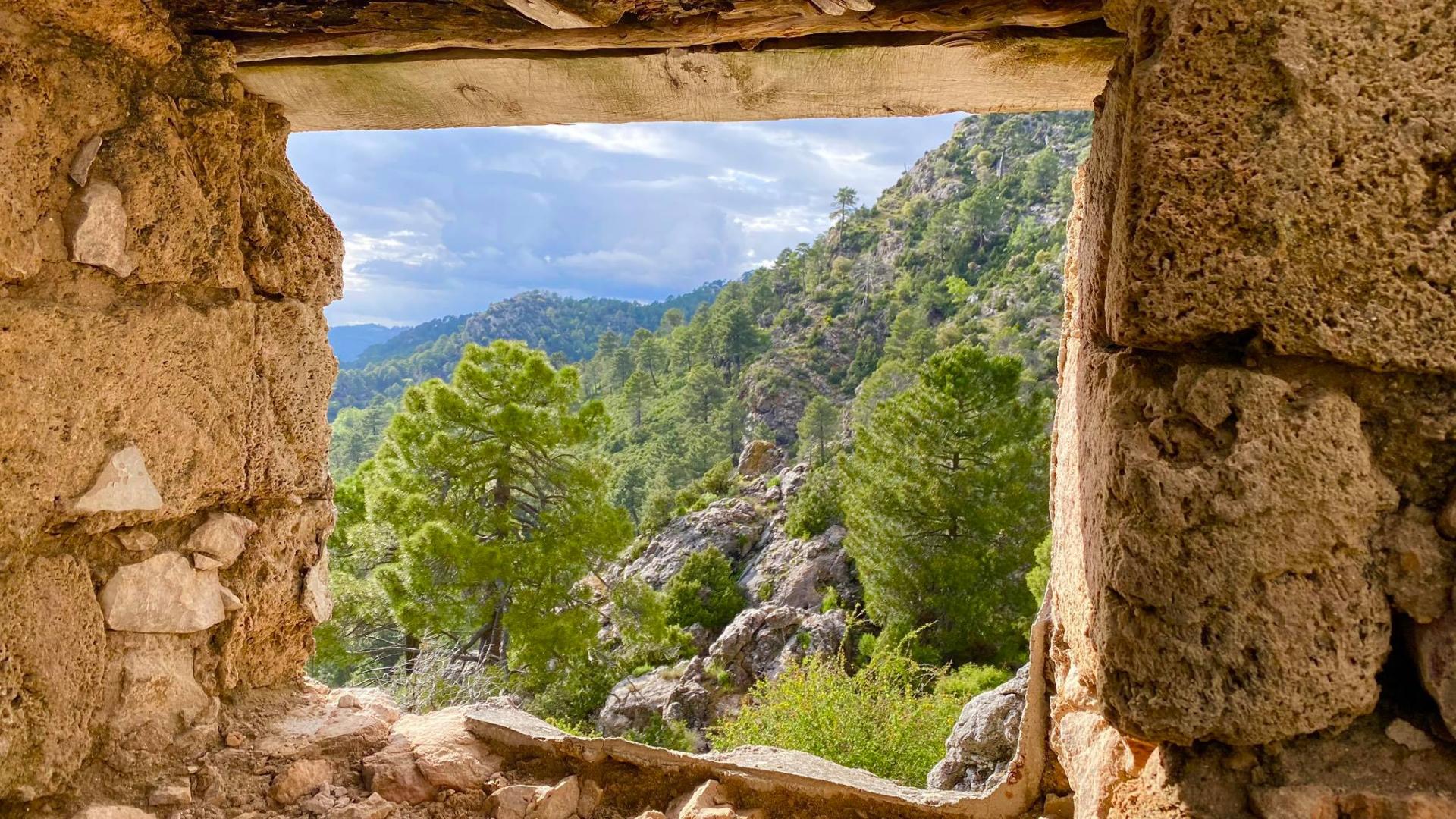 Hotel El Curro foto 41