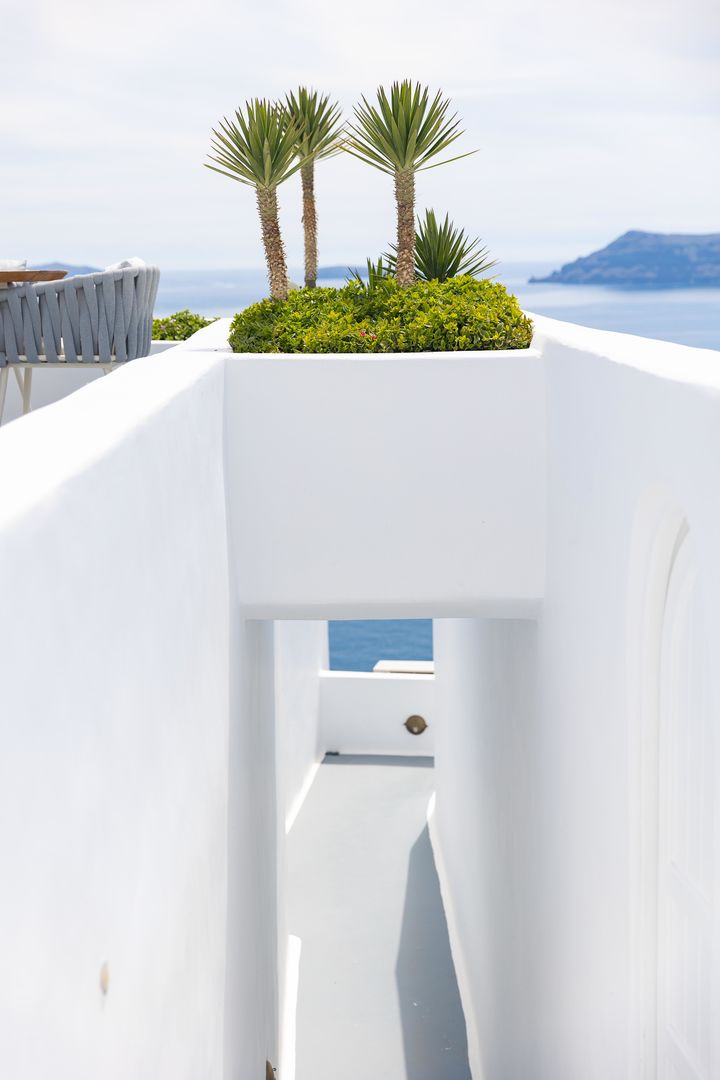 Ikies Santorini foto 458