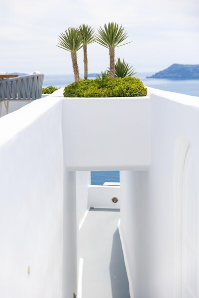Ikies Santorini foto 457