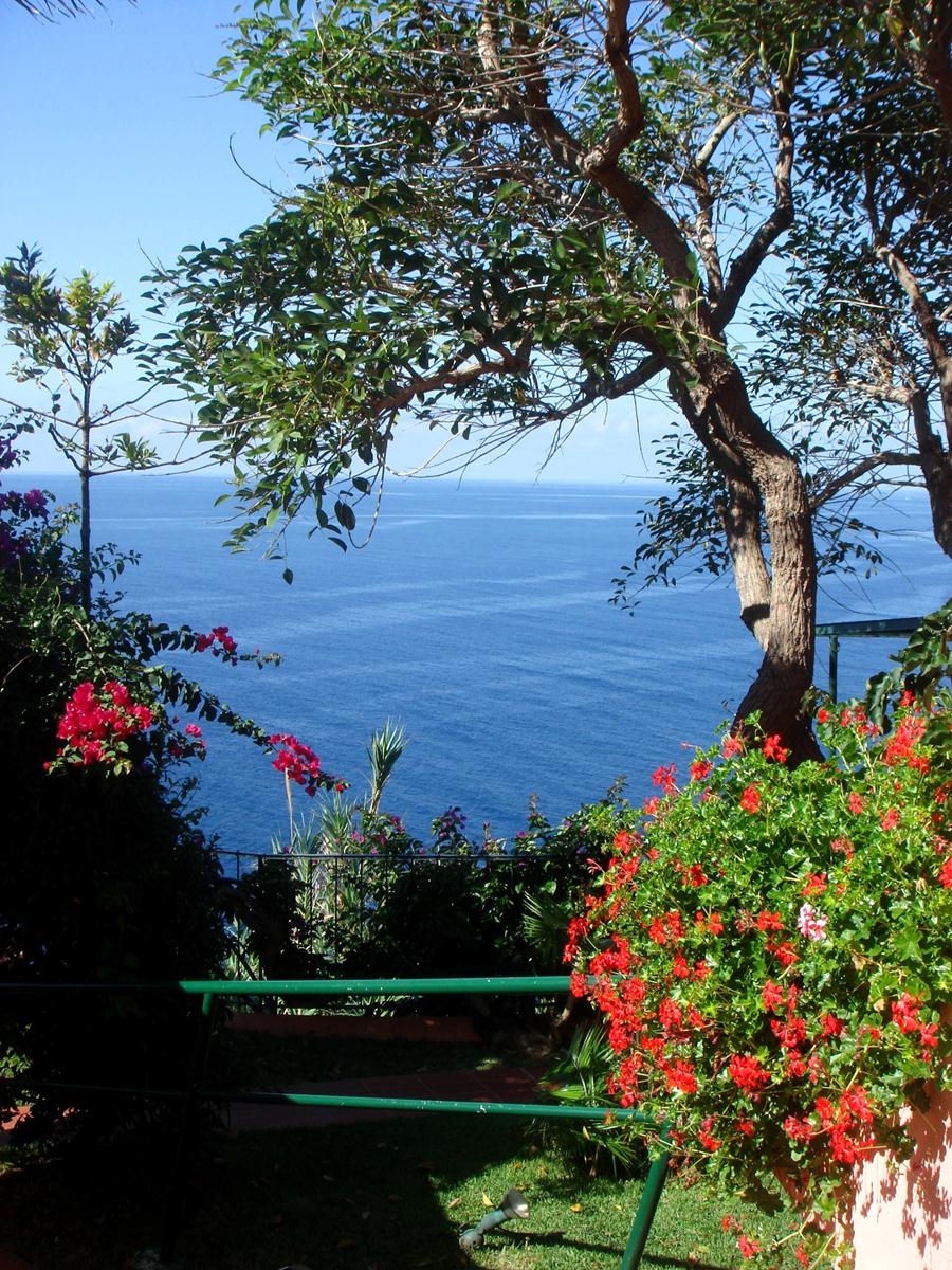 Inn & Art Madeira foto 17