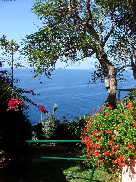 Inn & Art Madeira foto 15