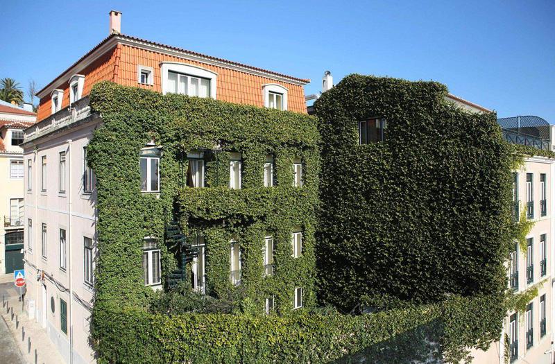 As Janelas Verdes in Lisbon - foto 2