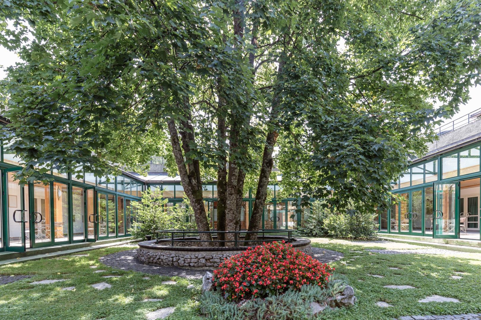 Hotel Jezero foto 24