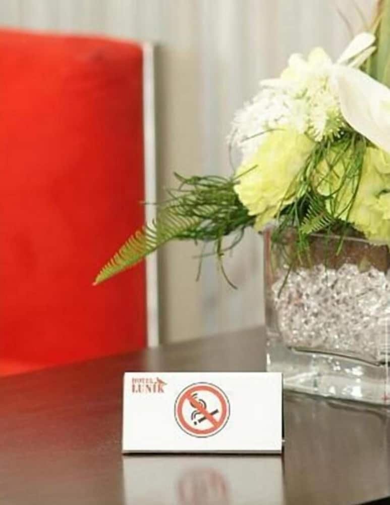 Hotel Lunik foto 25