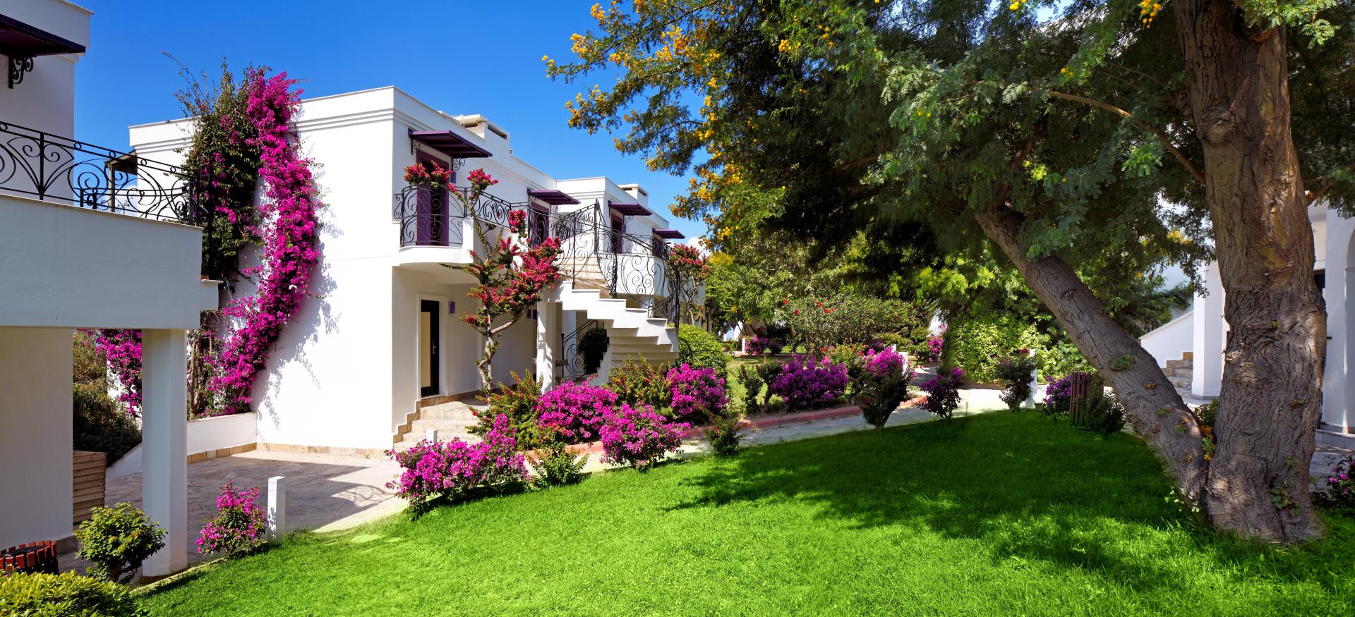 Kadikale Resort Spa & Wellness foto 14