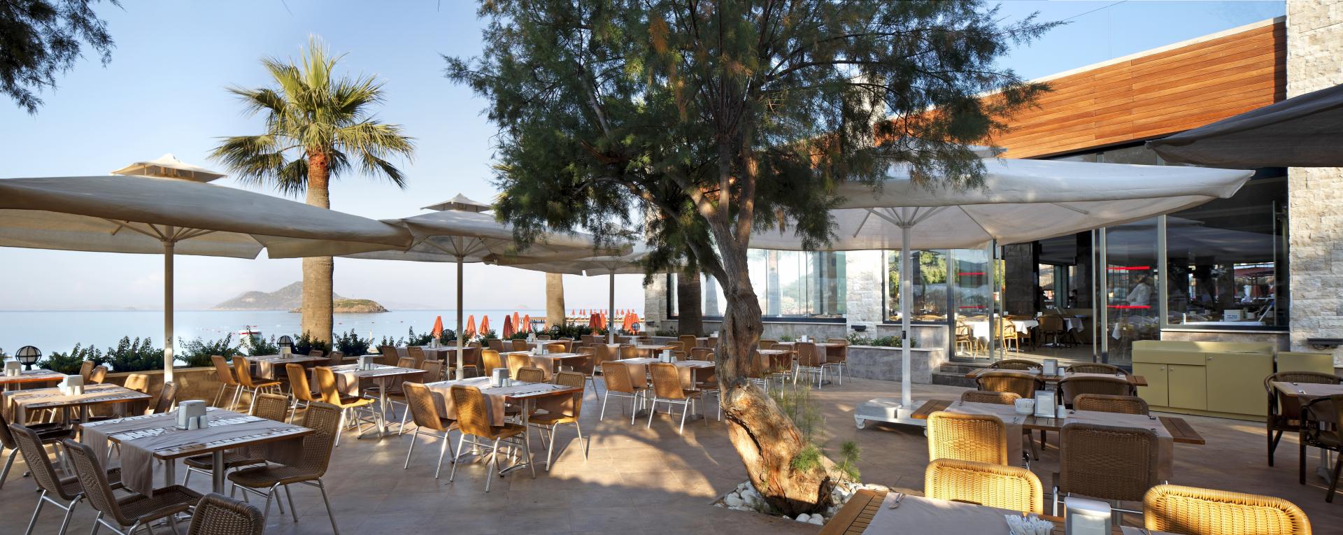 Kadikale Resort Spa & Wellness foto 3
