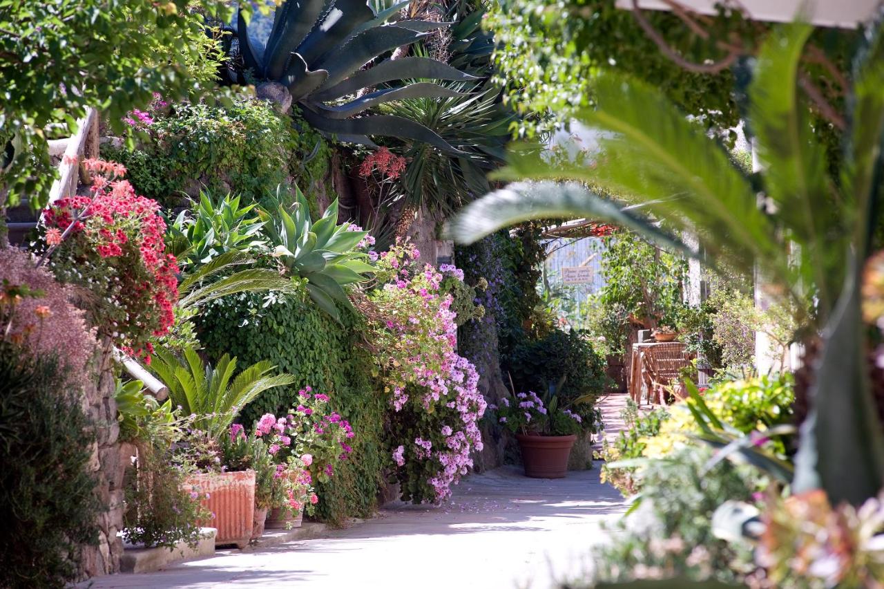 een tuin vol met planten en bloemen bij Hotel Villa Melodie - Adults Only in Forio d'Ischia