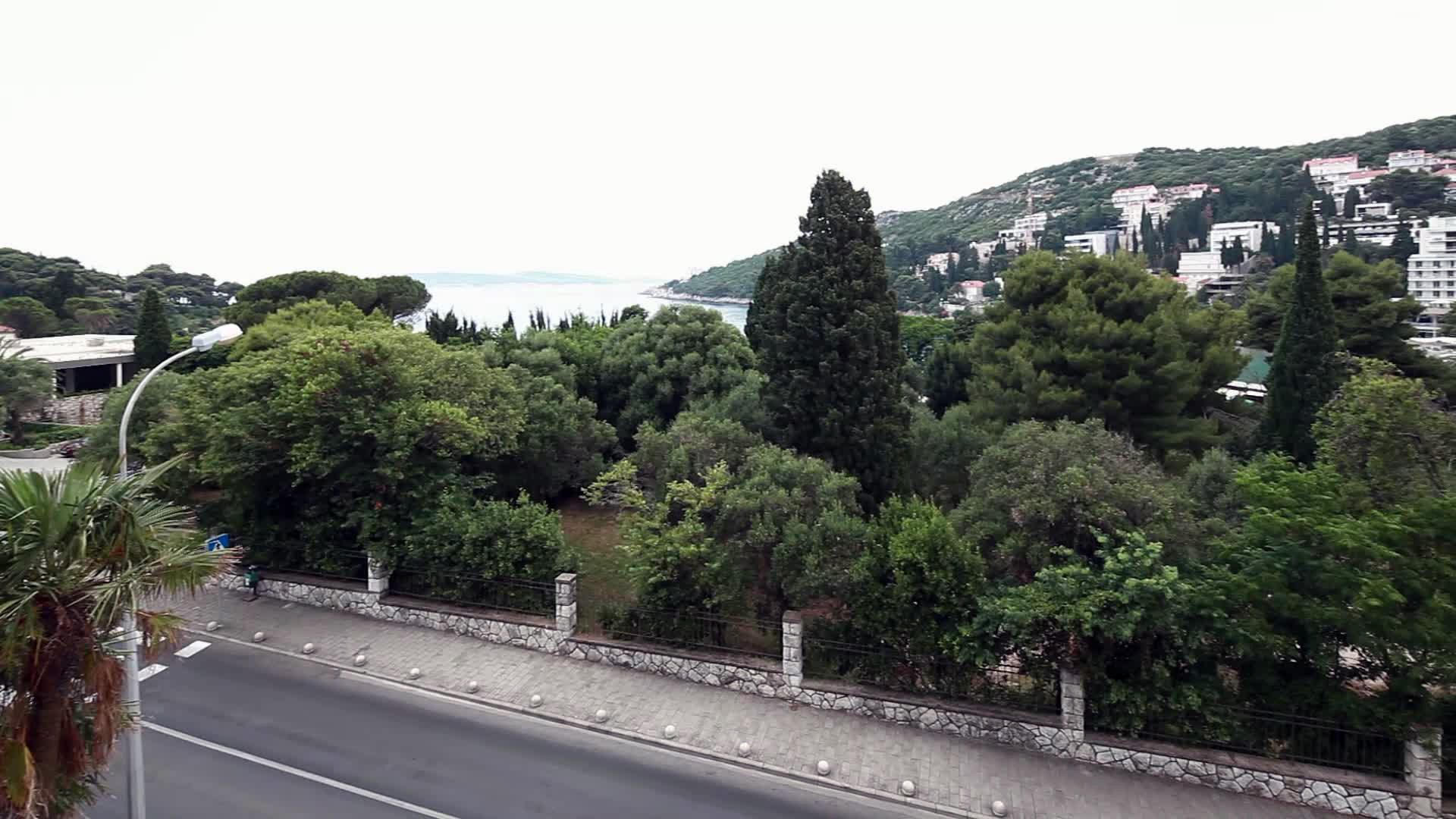 Komodor foto 28