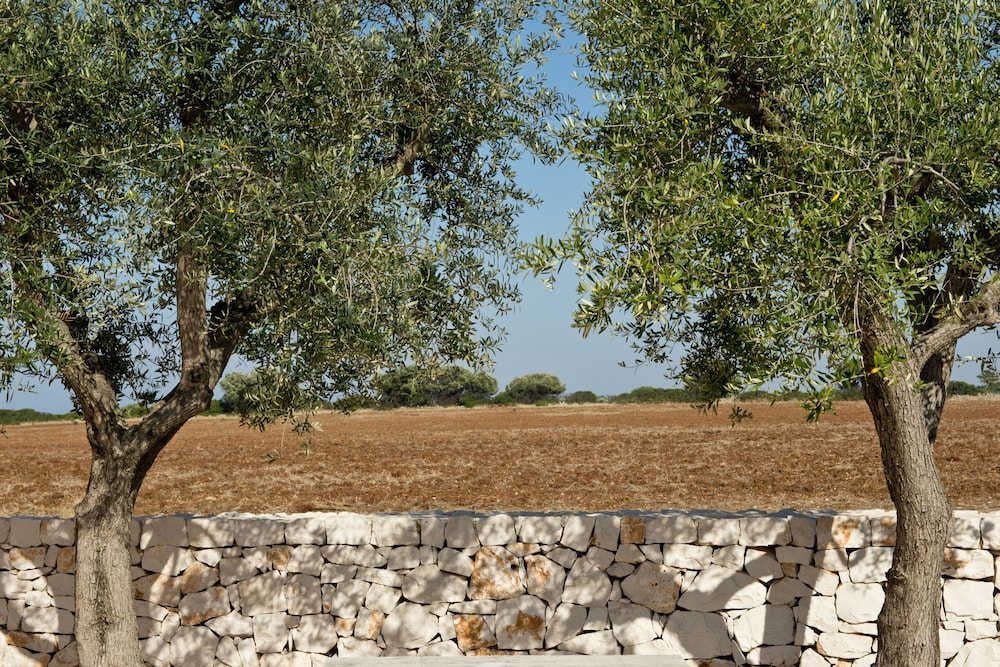 Grand Hotel Masseria Santa Lucia foto 30