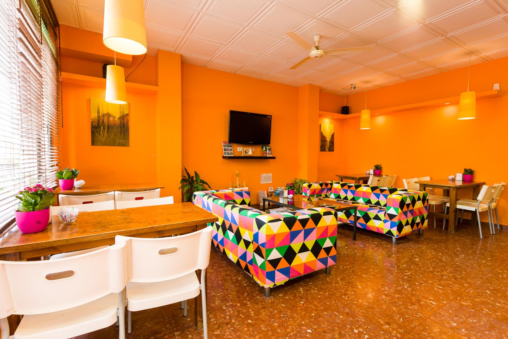 Hostal Sol y Miel foto 11