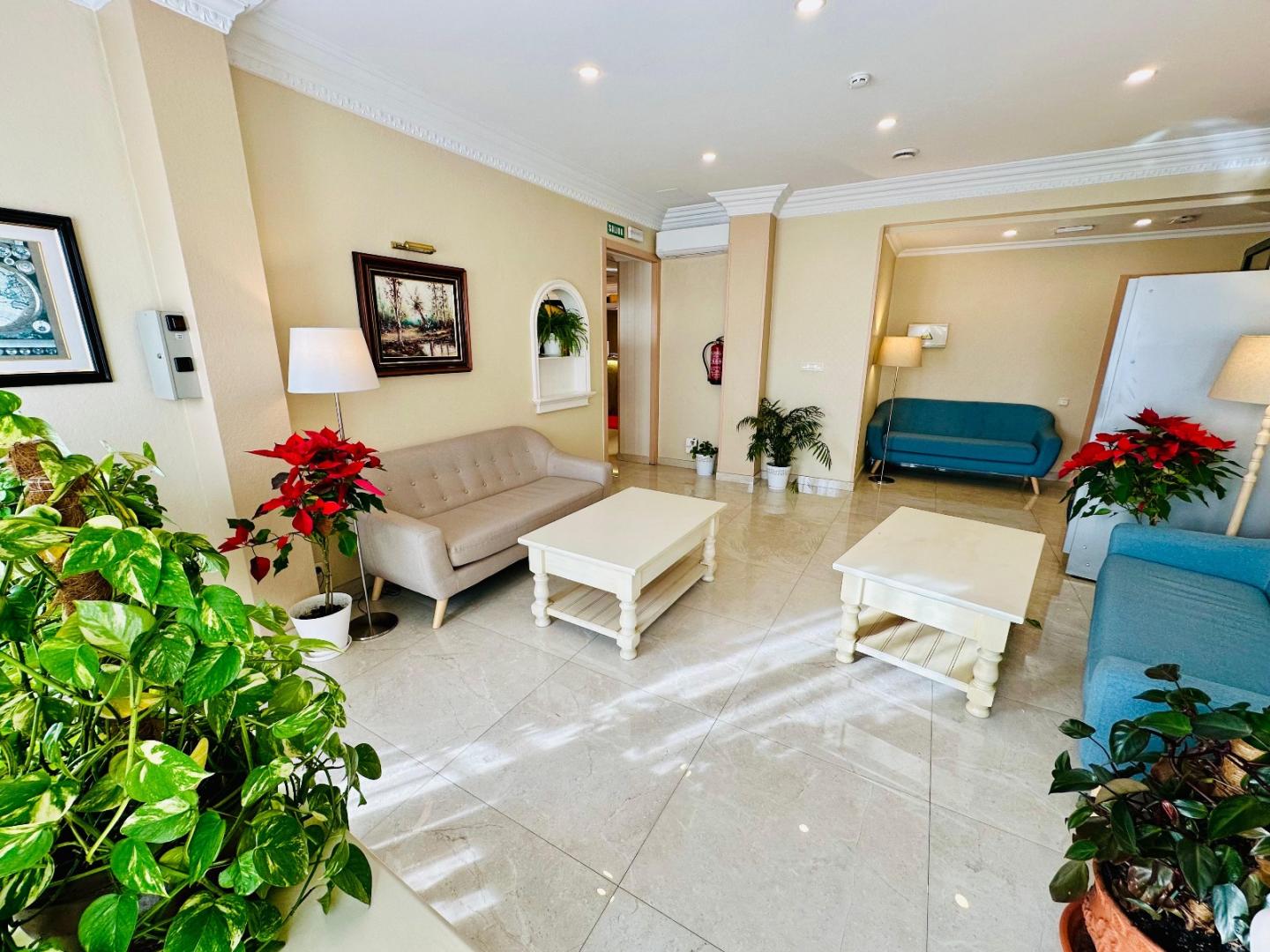 Hostal Toledo image 3