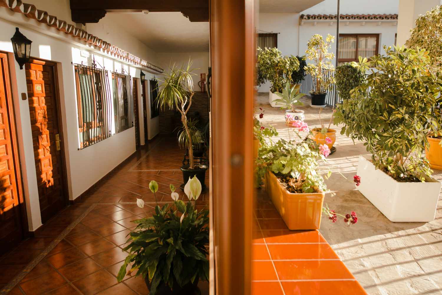 Las Rampas Hotel foto 27