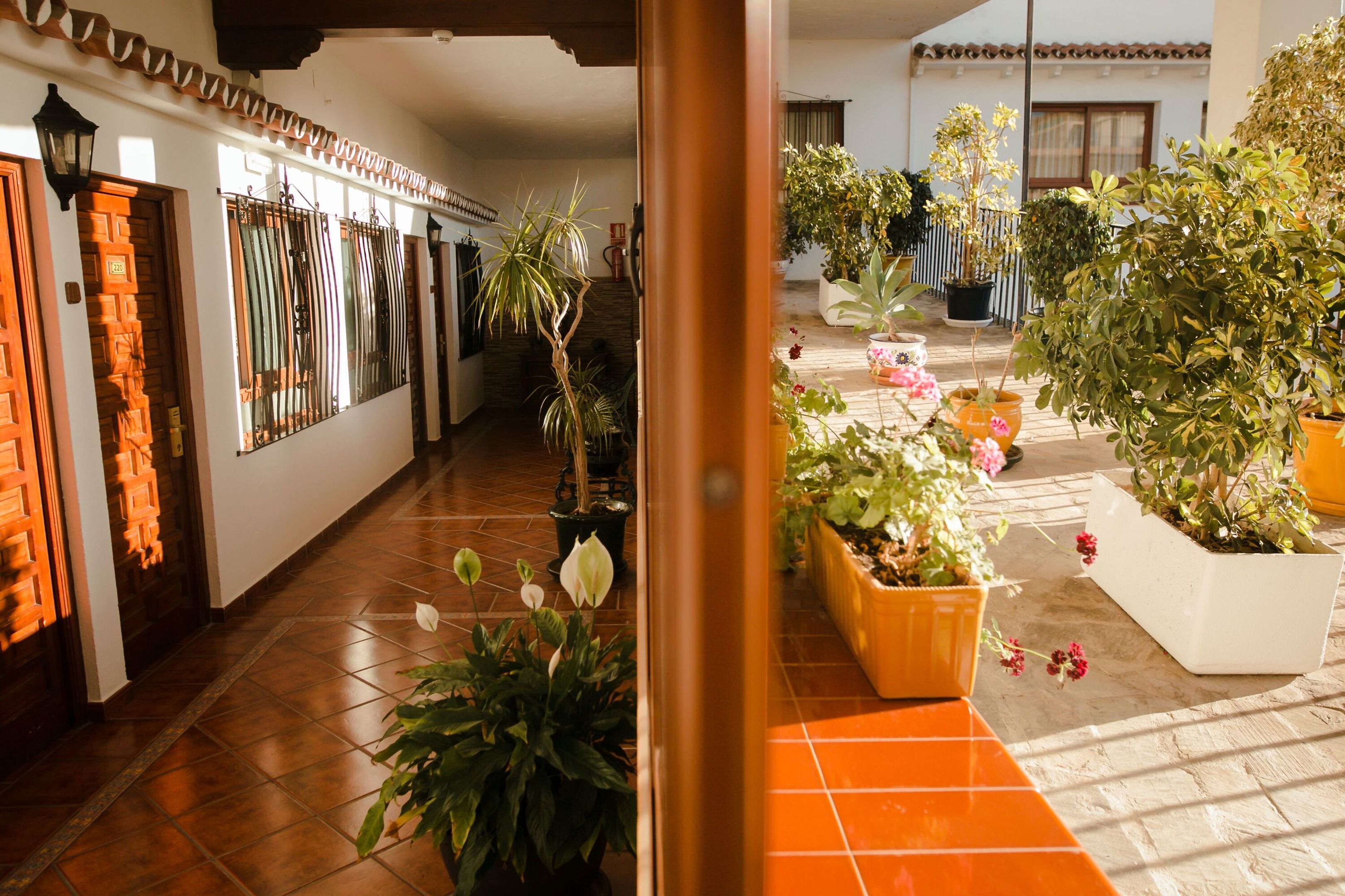 Las Rampas Hotel foto 40