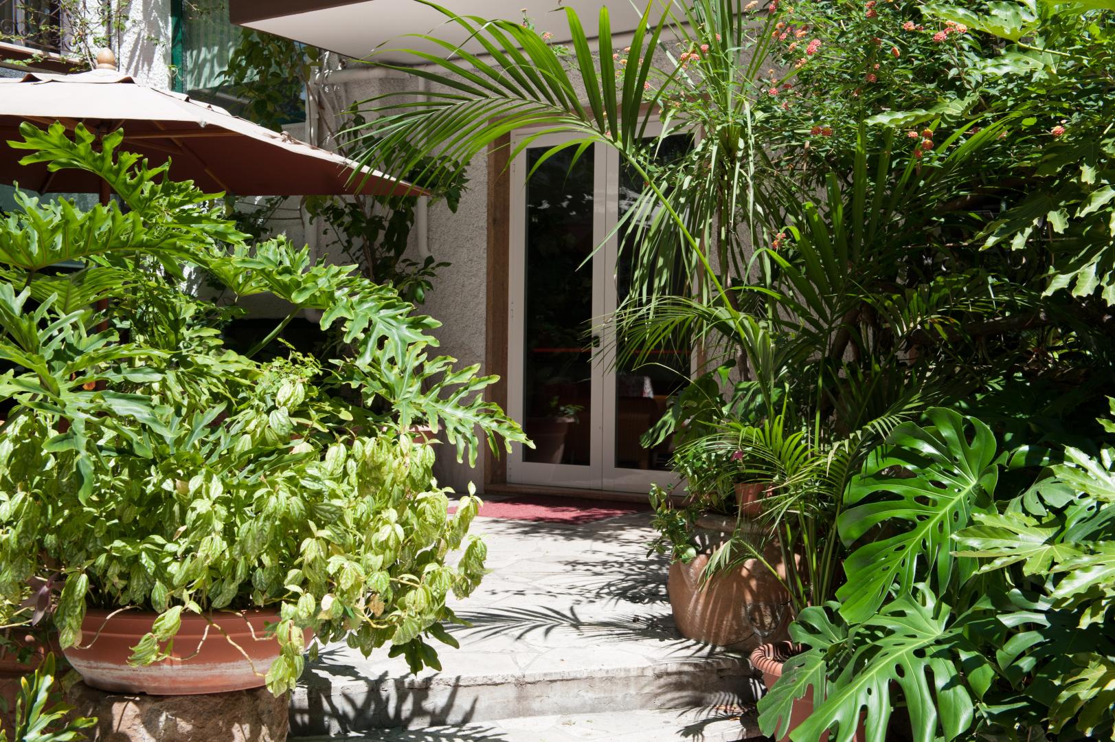 La Pergola foto 15