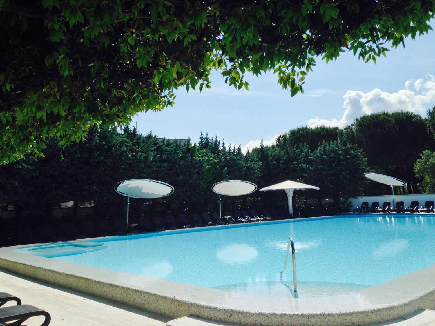 Hotel Le Palme foto 4
