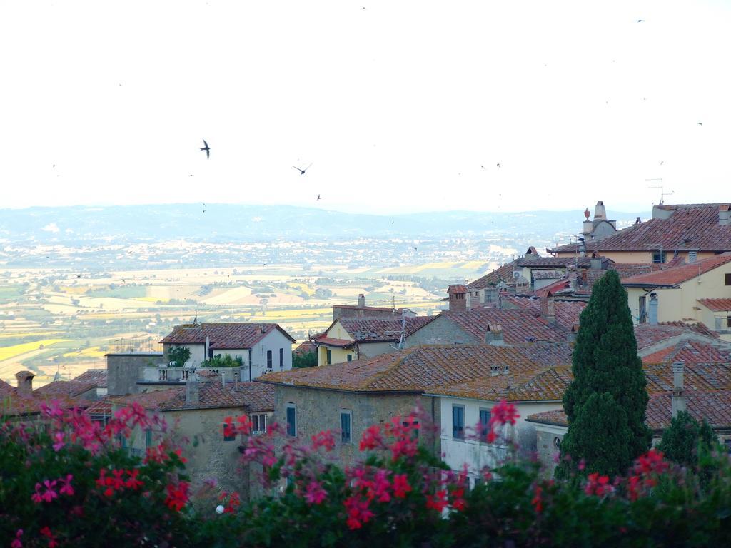 San Luca image 0