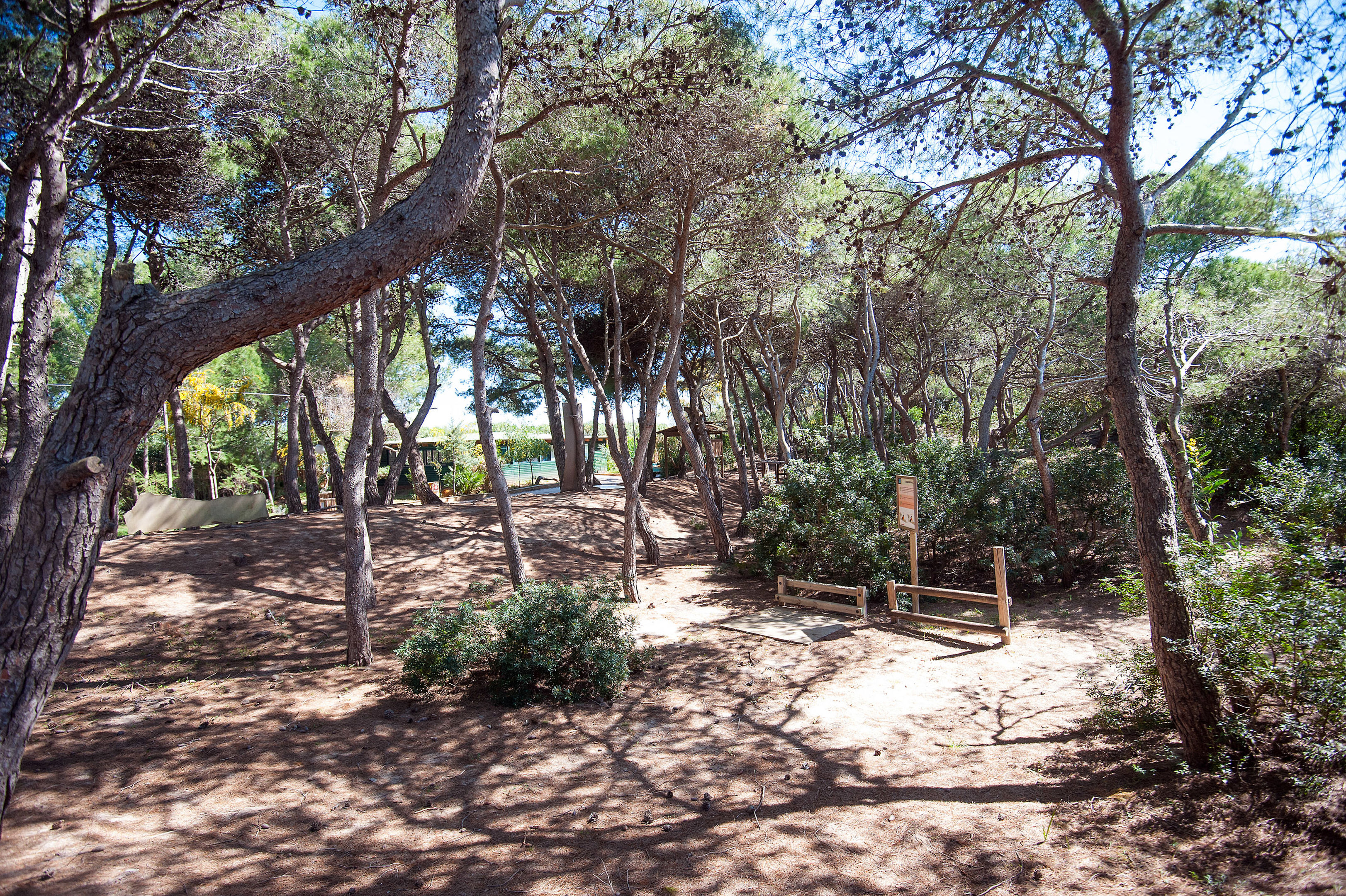 Ecoresort Le Sirene foto 12