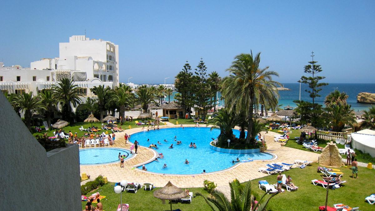 Delphin El Habib image 1