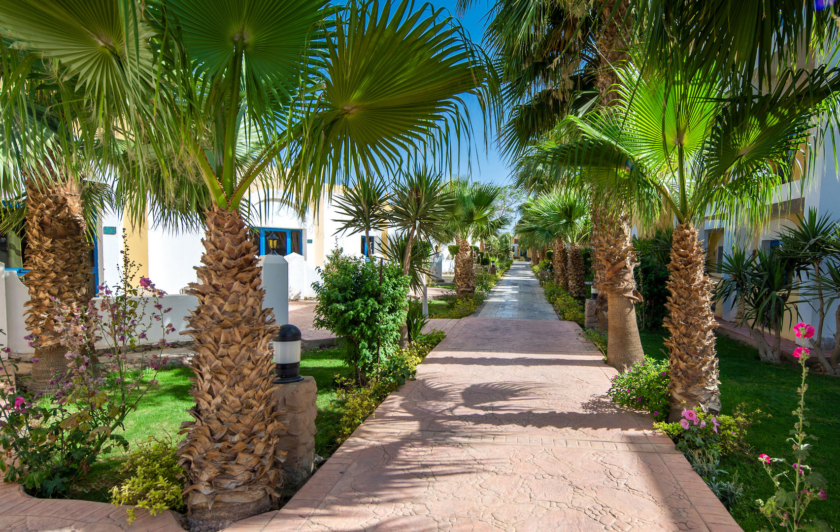 Mirage Bay Resort & Aquapark foto 17