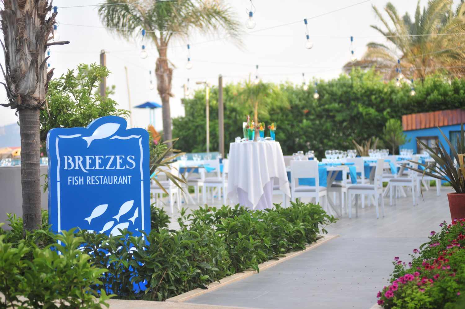 Seven Seas Hotel Life foto 46