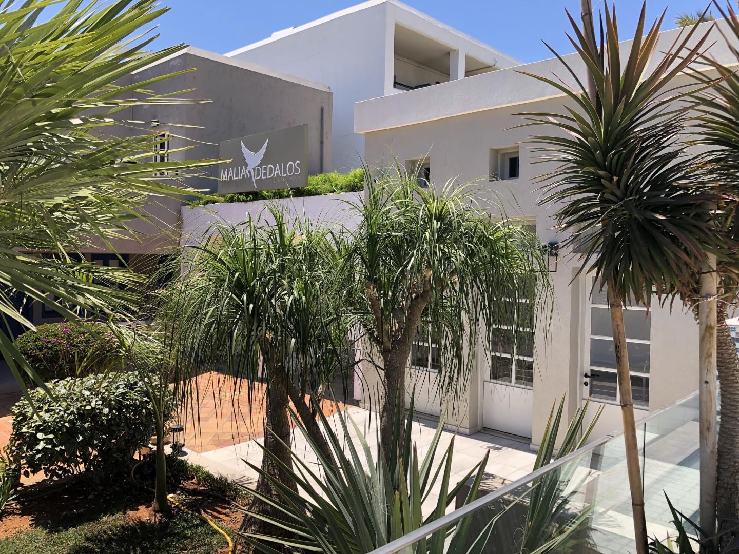 Tropische tuin met palmbomen — Dedalos Hotel