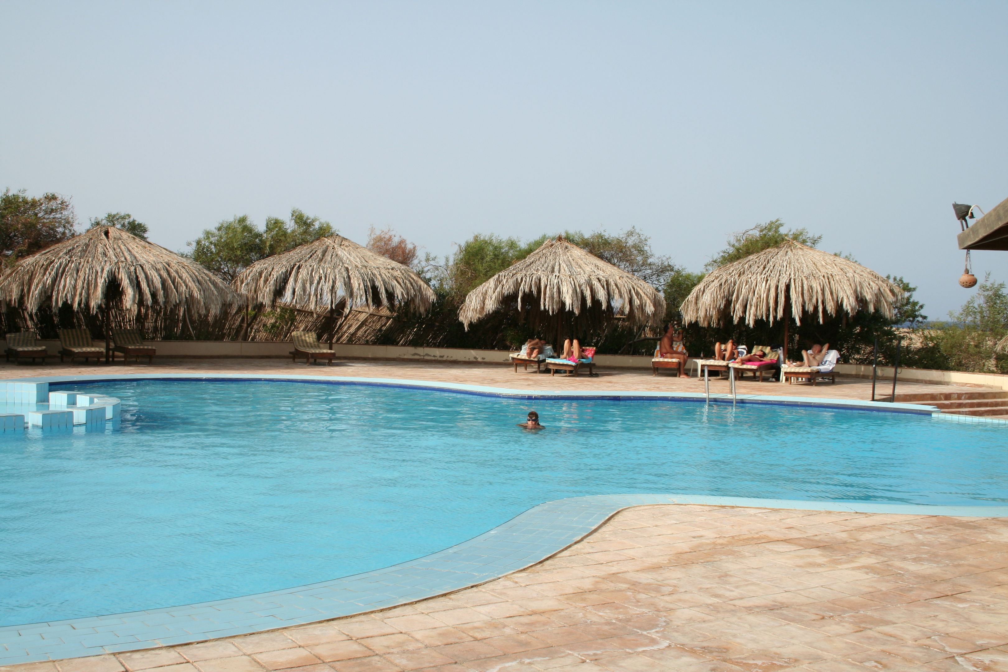Mangrove Bay Resort foto 15