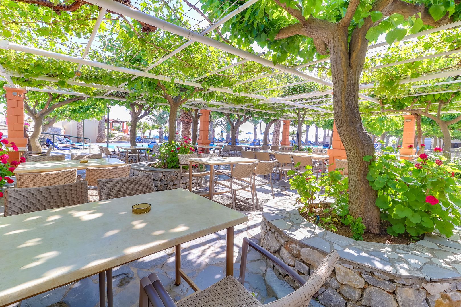 Mare Monte Beach Hotel foto 43