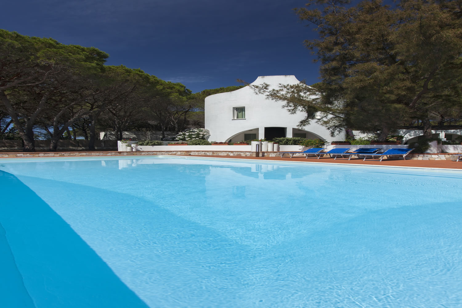 Mare Pineta image 0