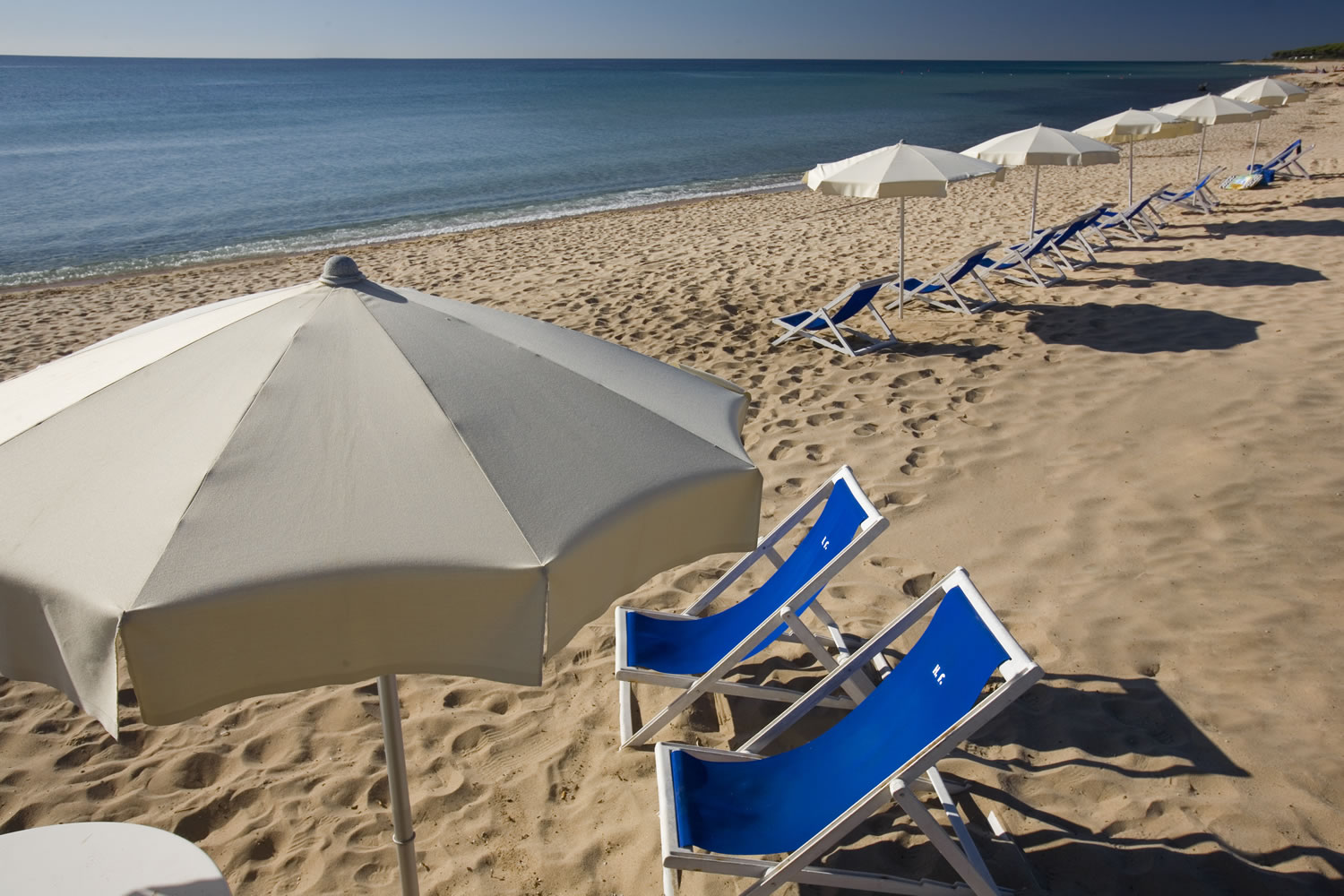 Mare Pineta.