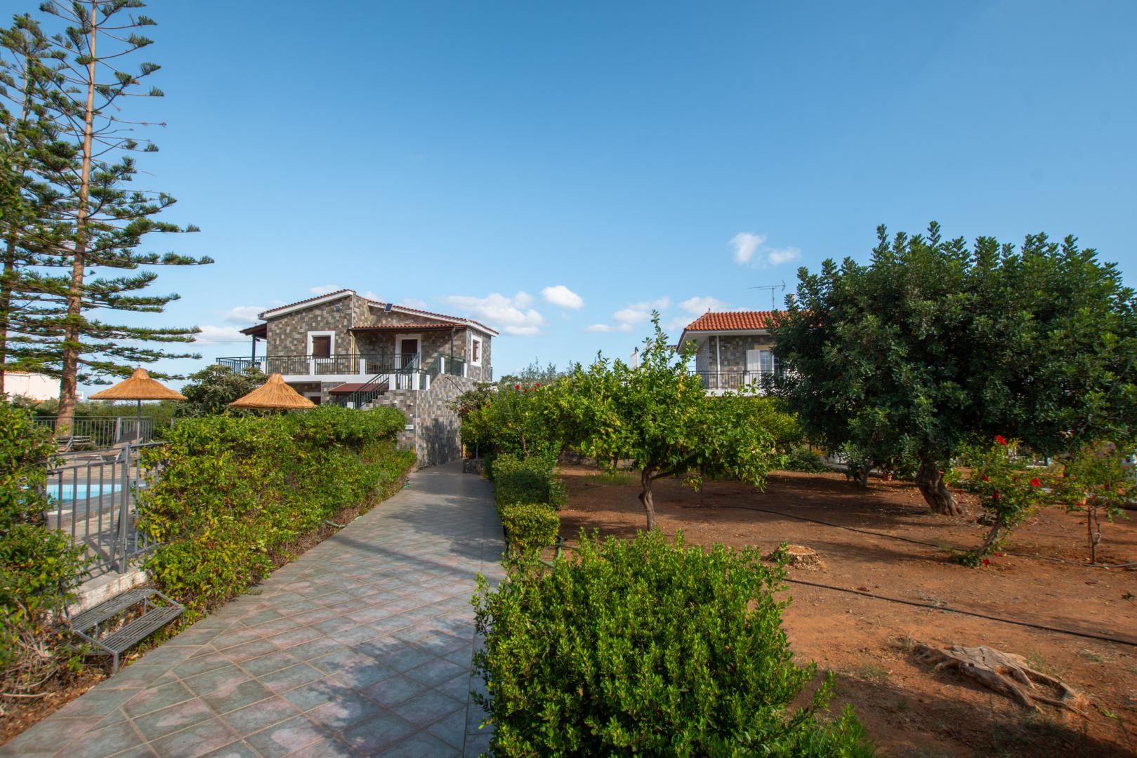 Villa Medusa foto 28