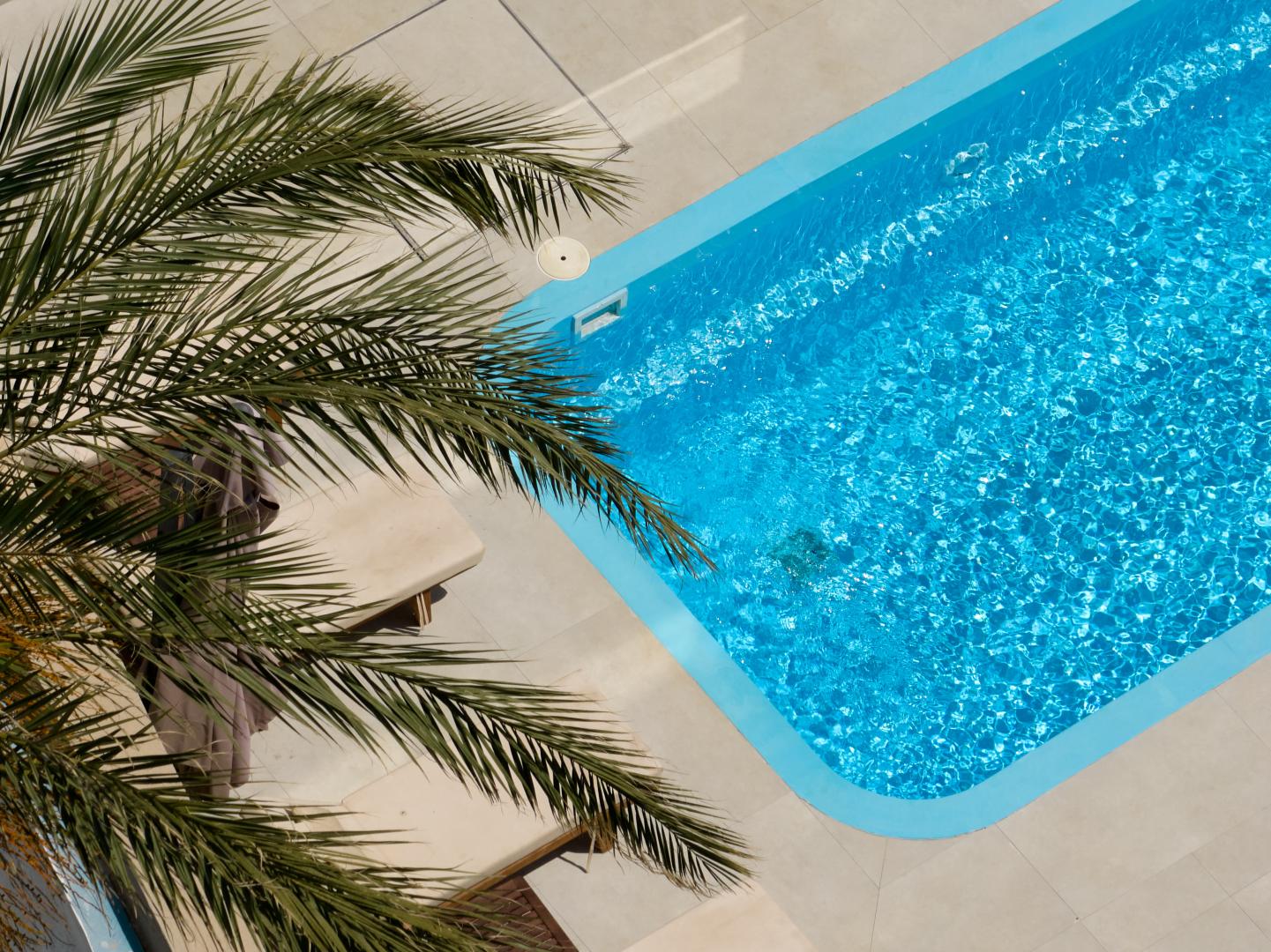 Zwembad omringd door palmbomen — Lotus Rise Hotel