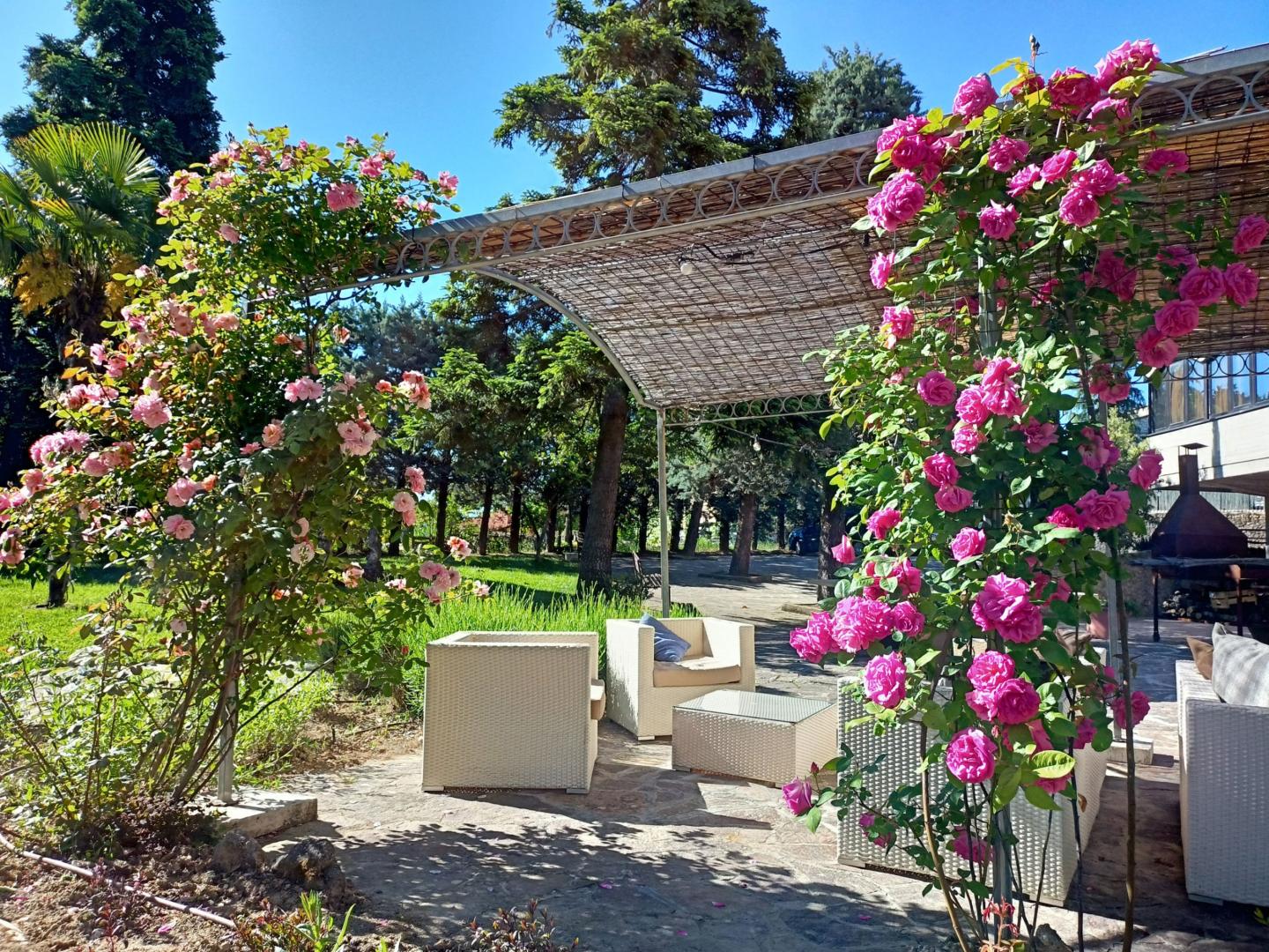 Villa Ambra foto 24