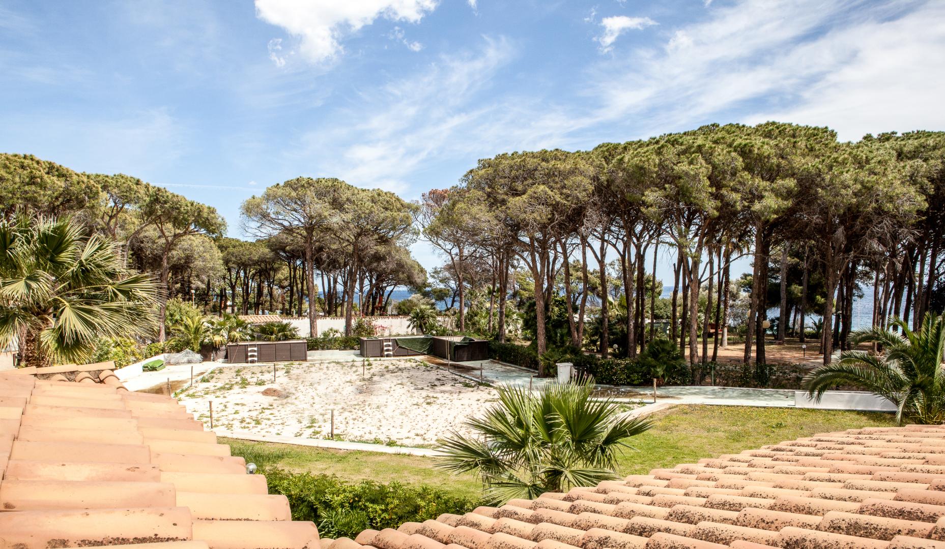 Tropische tuin met palmbomen — New Barcavela