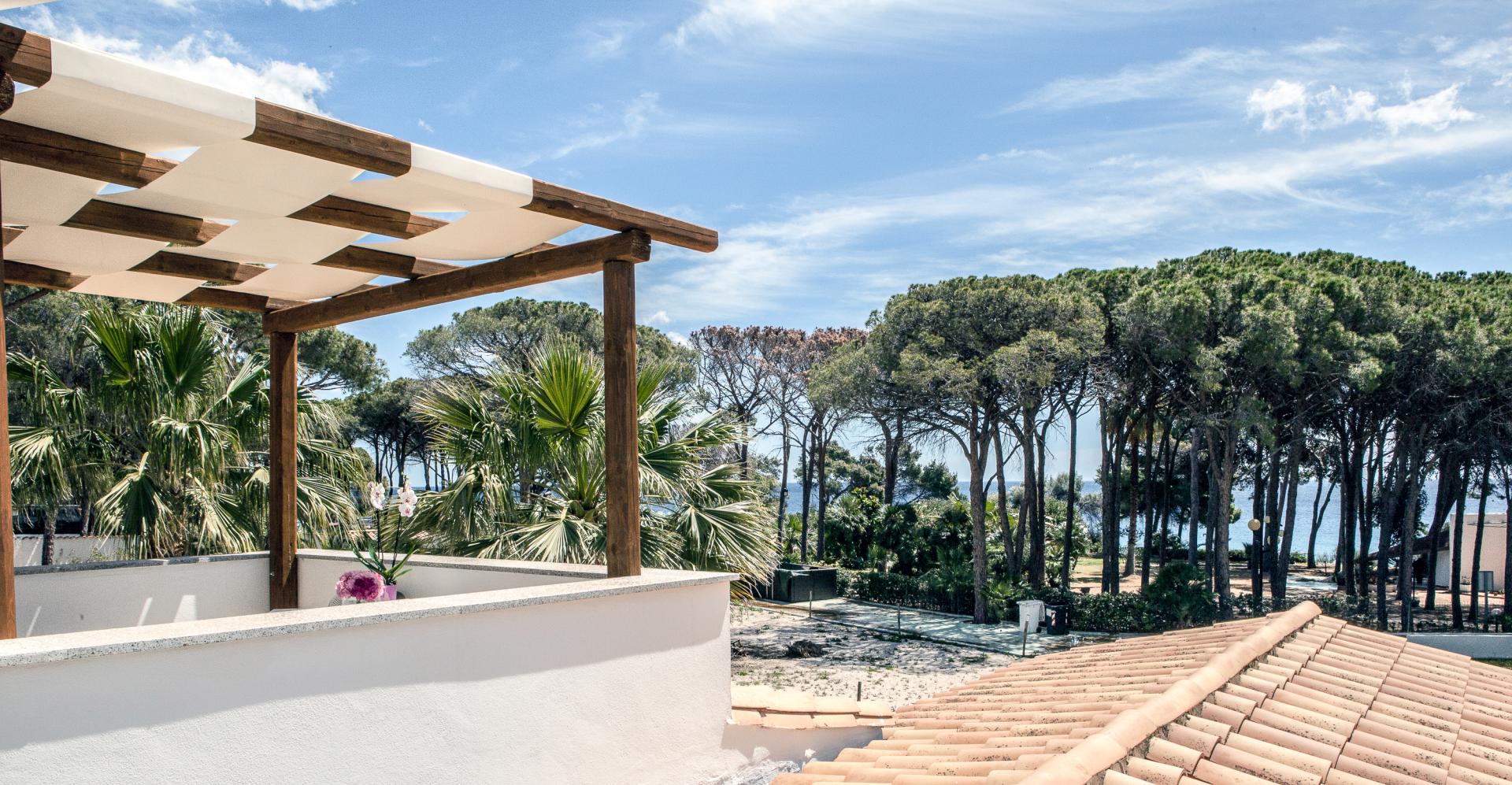 Zwembad omringd door palmbomen — New Barcavela