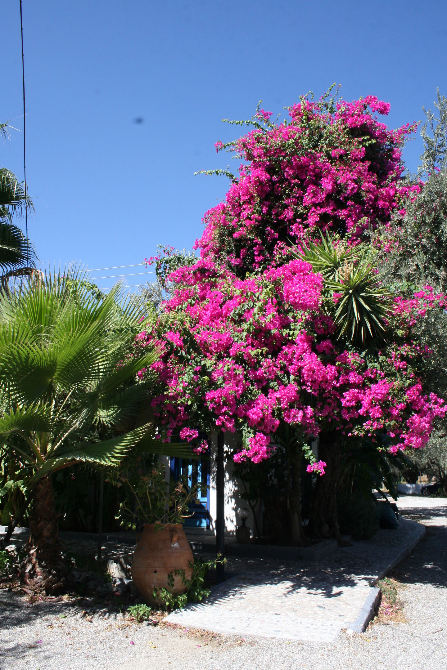 Oasis Hotel & Bungalows foto 46