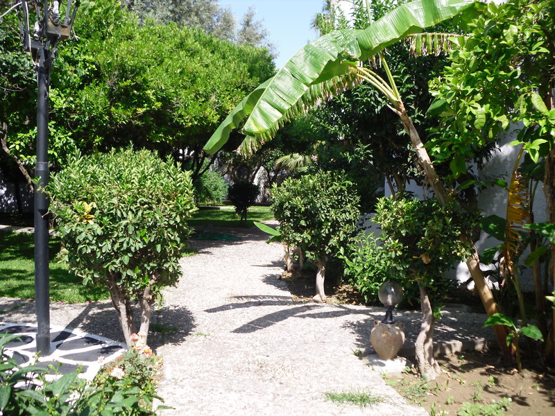 Oasis Hotel & Bungalows foto 80