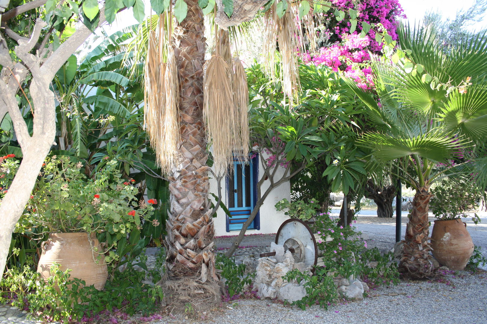 Oasis Hotel & Bungalows foto 6