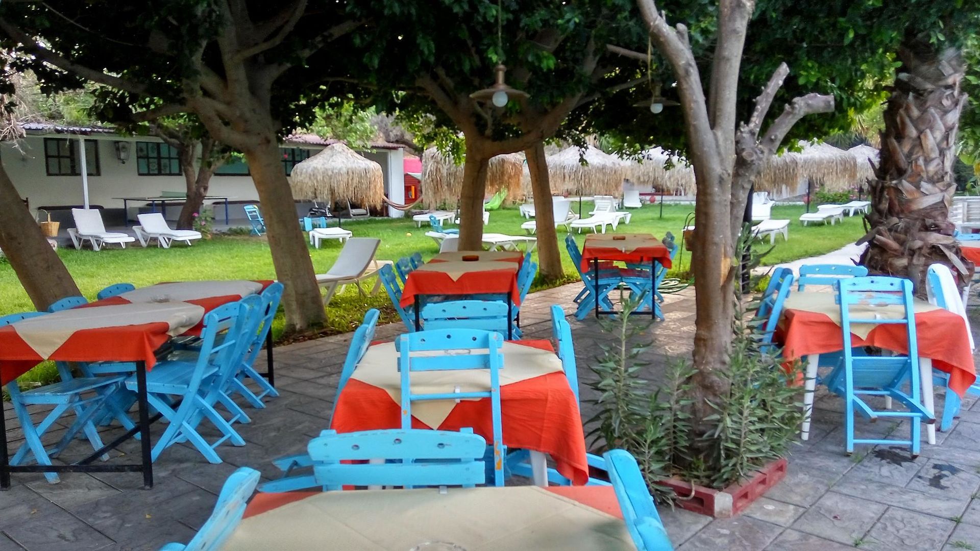 Oasis Hotel & Bungalows foto 39