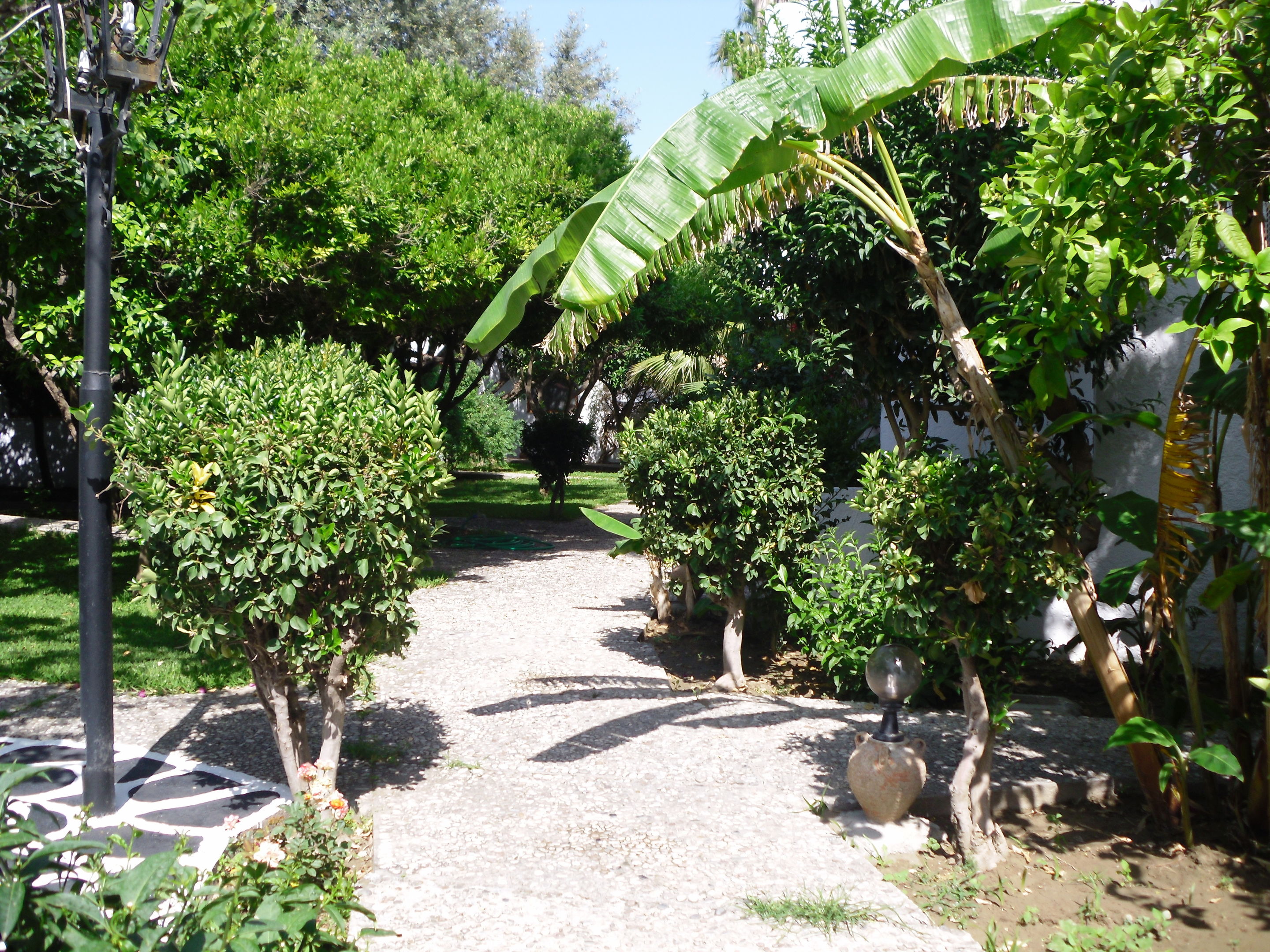 Oasis Hotel & Bungalows foto 82