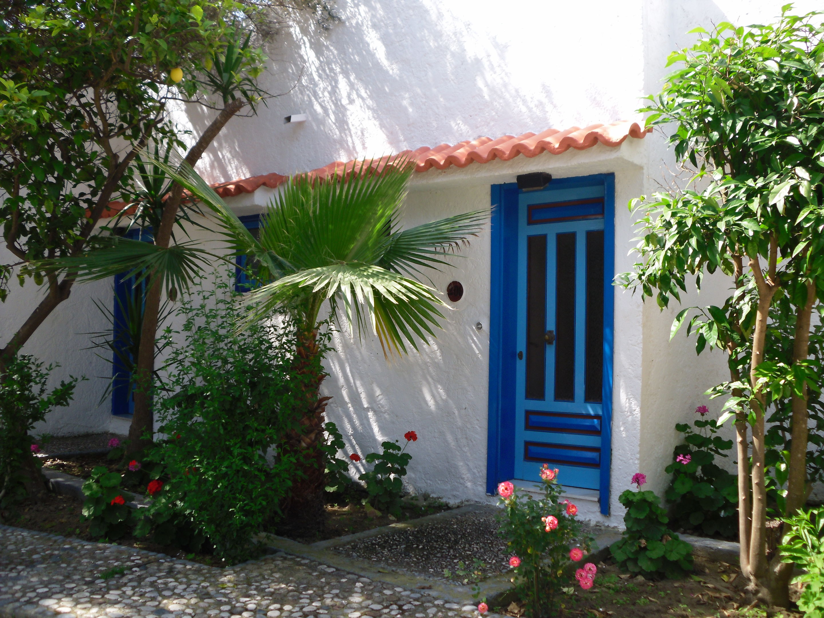Oasis Hotel & Bungalows foto 4