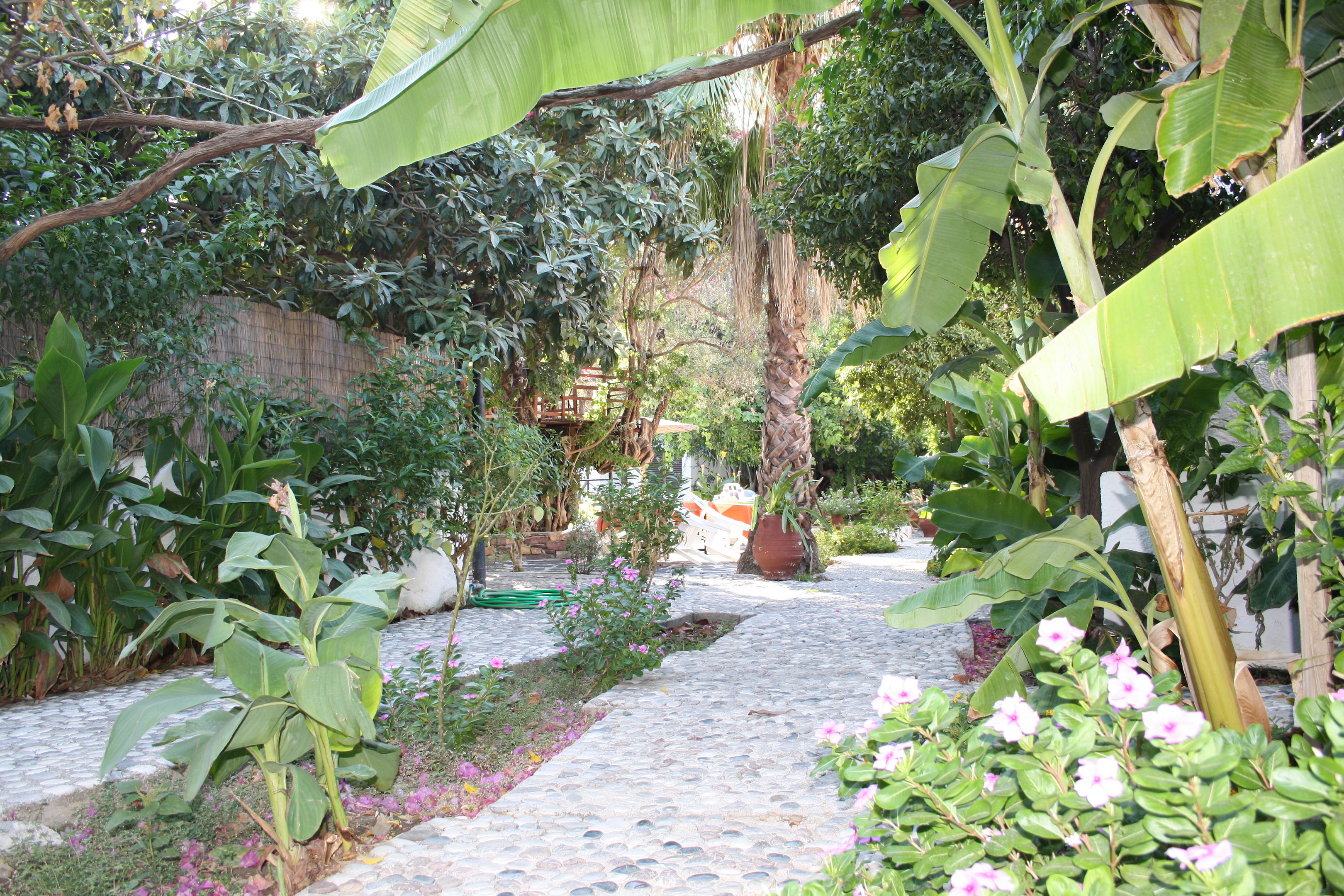 Oasis Hotel & Bungalows foto 52
