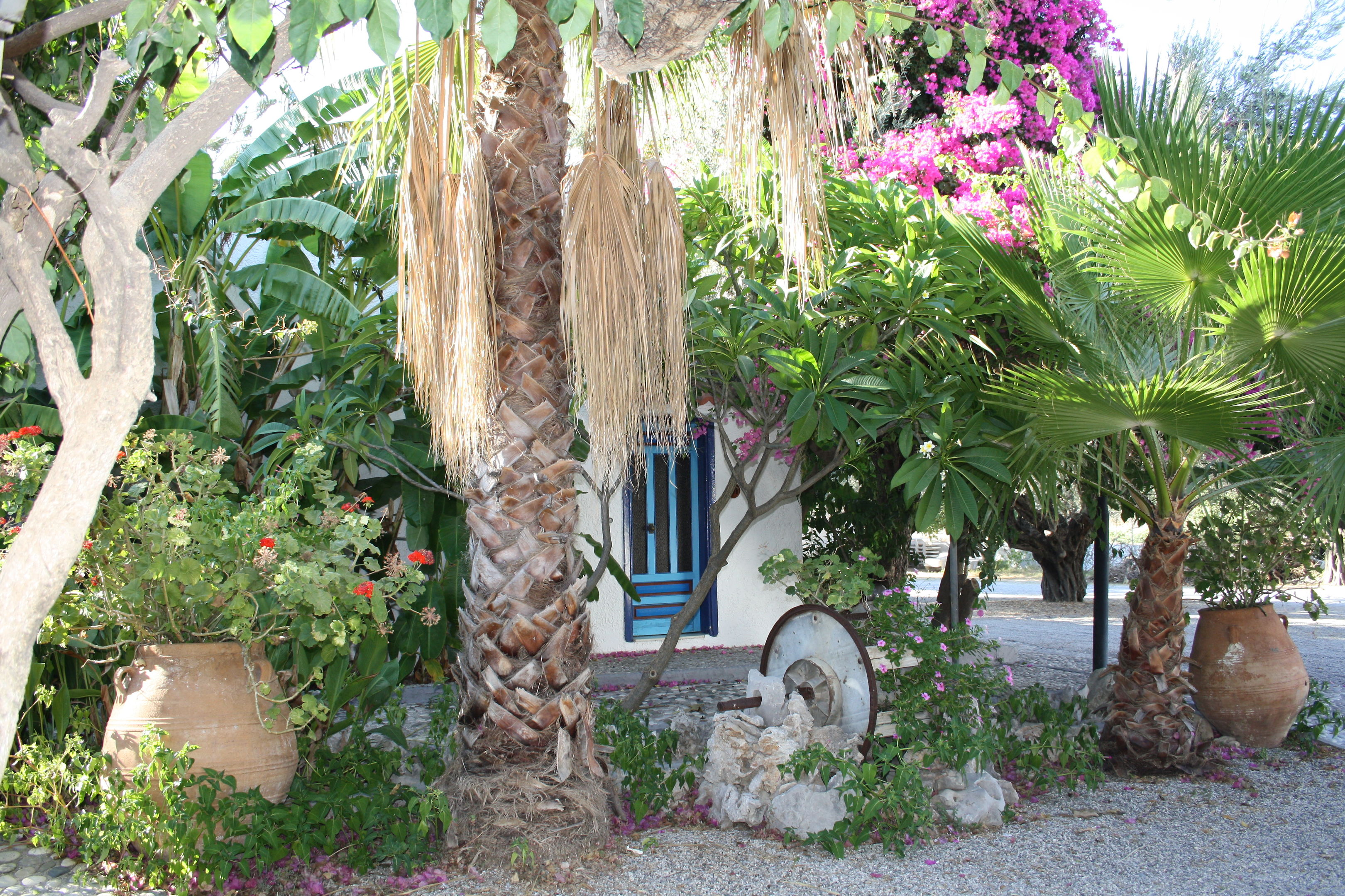 Oasis Hotel & Bungalows foto 7