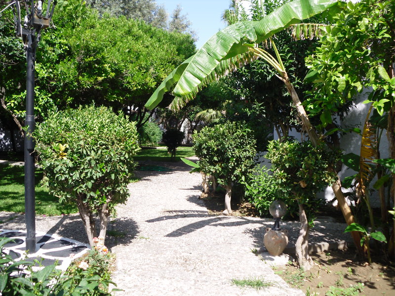 Oasis Hotel & Bungalows foto 41