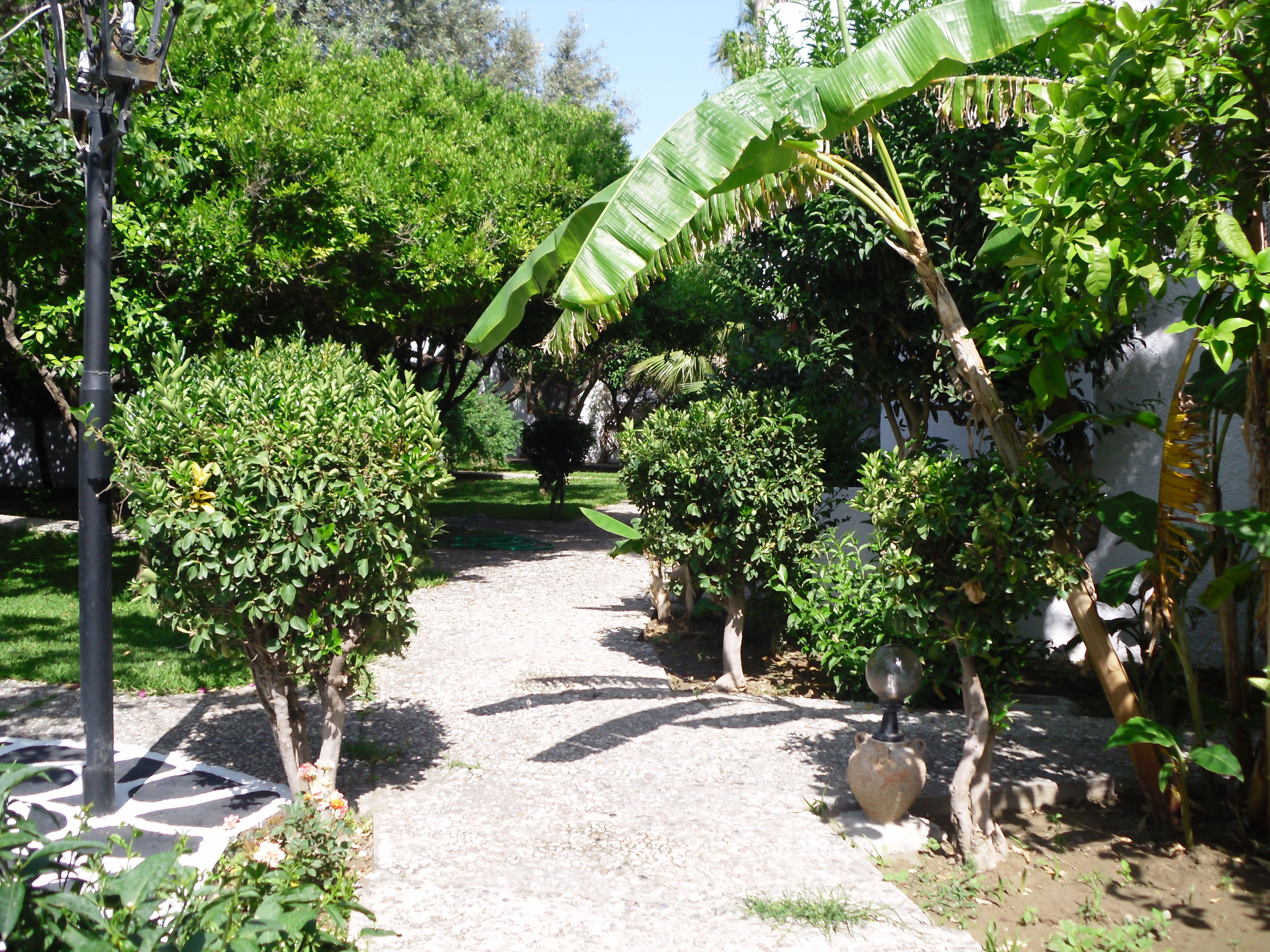 Oasis Hotel & Bungalows foto 43