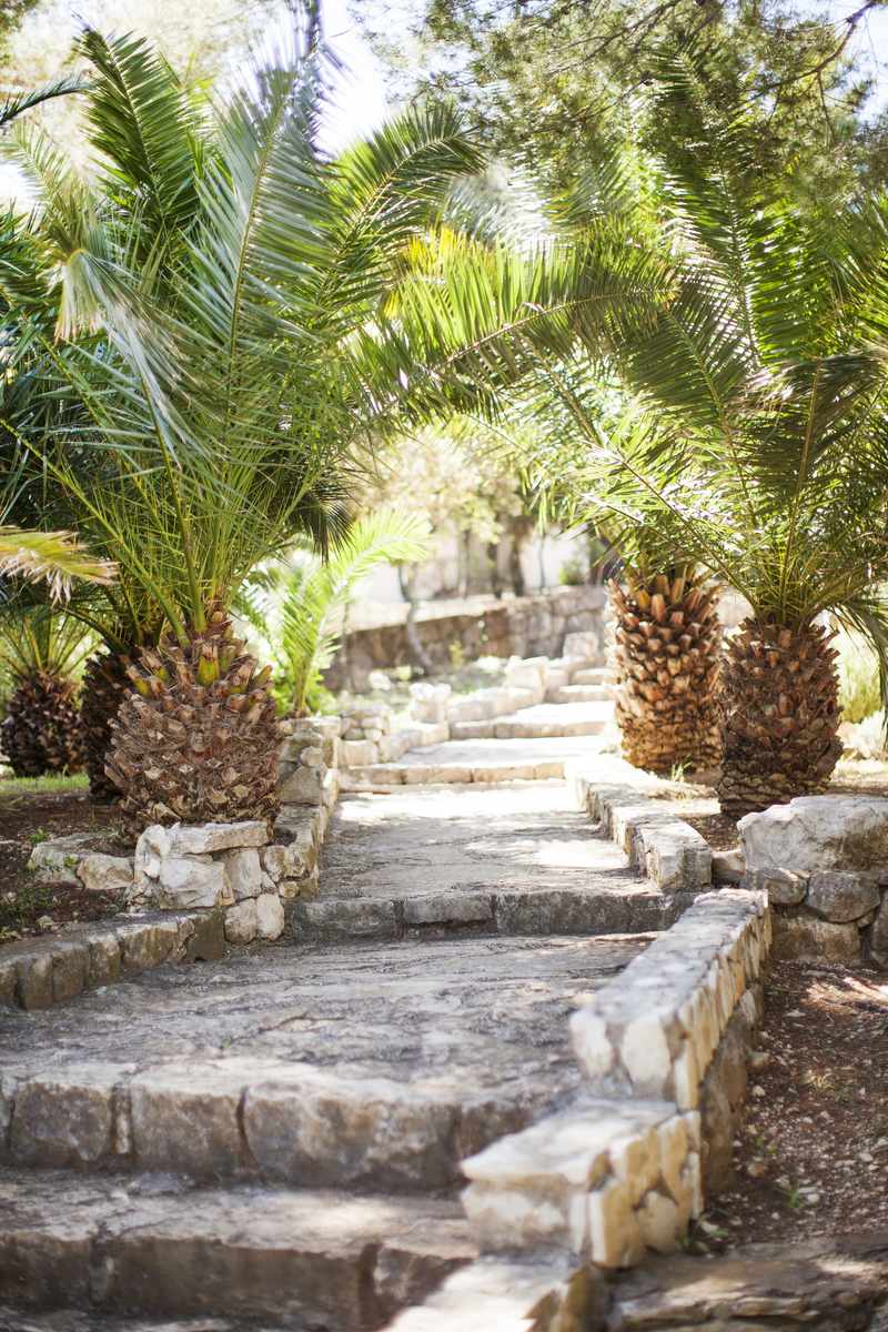 Odisej Mljet foto 8
