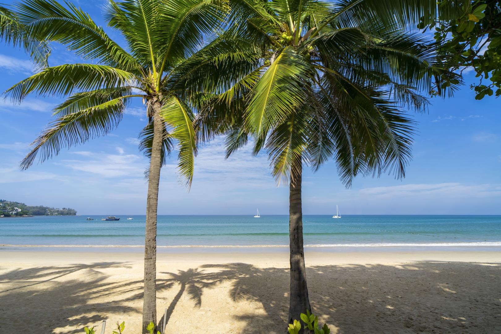 Sunwing Kamala Beach foto 33
