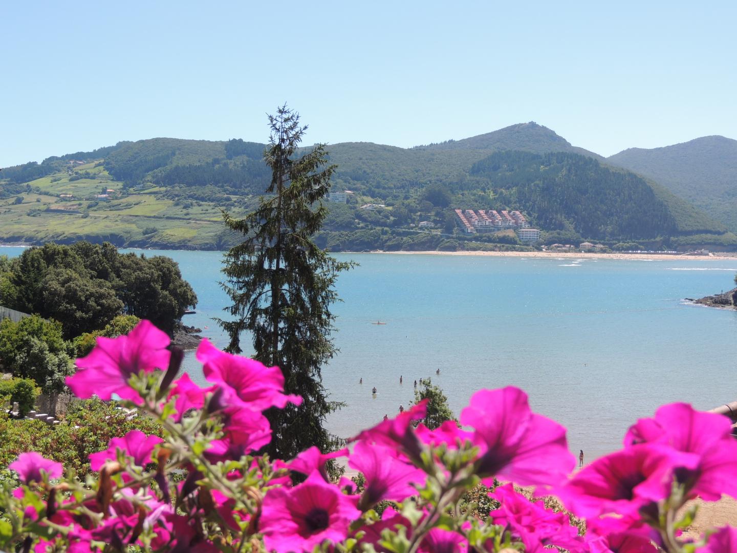 Mundaka Apartamentos foto 15