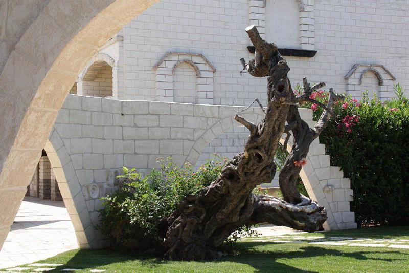 Una Hotel Regina Bari in Noicàttaru - foto 4